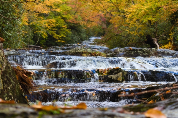A beautiful river with rolling falls and autumn trees.
